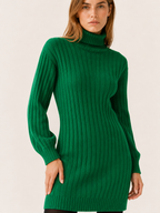 Elodie | Jumper Dress with Roll Neck and Ribbed Mini Fit